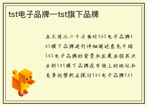 tst电子品牌—tst旗下品牌