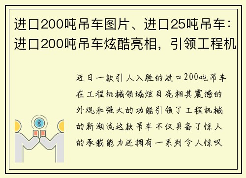 进口200吨吊车图片、进口25吨吊车：进口200吨吊车炫酷亮相，引领工程机械新潮流